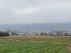 -黟县屏山村