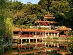 -深圳仙湖植物园