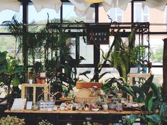 -北马山庄植趣咖啡