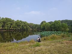 -长白岛森林公园