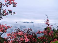 -王顺山国家森林公园