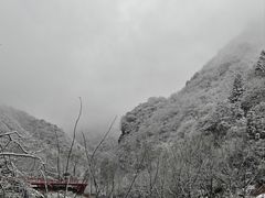 -安吉龙王山风景区