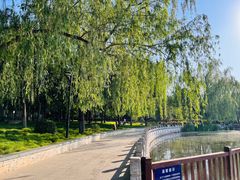 -莲花池公园
