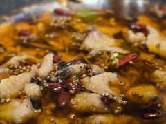 -巴渝菜舍曾氏麻辣风(霸州店)