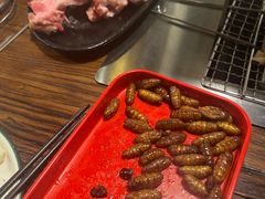 -柿子树炭烤羊腿(金台路店)