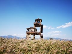 -野鸭湖国家湿地公园