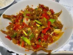 鸭掌筋-壹盏灯(惠农店)