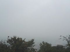 -上海佘山国家森林公园西佘山园