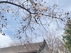 -碑林公园