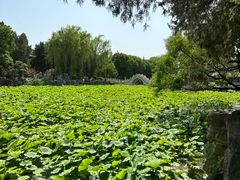 -莲池书院博物馆