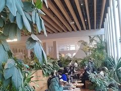 -Seesaw Coffee(朝阳大悦城店)