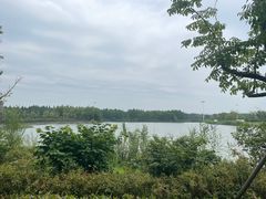 -苏州太湖国家湿地公园