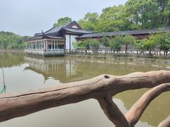 -南汇桃花村