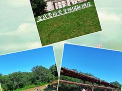 -北京张裕爱斐堡酒庄