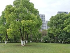 -重庆彩云湖湿地公园