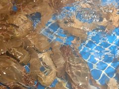 -小时候焗海鲜(鄞州万达店)