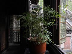 -鱼桥巷·美学川菜