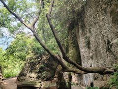 -窦圌山风景区