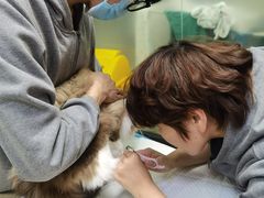 -艾贝尔宠物诊疗