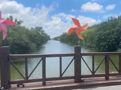 -黄海国家森林公园