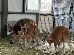 -水上乐园·欢乐世界