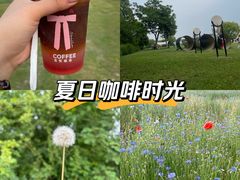 -嘉北郊野公园