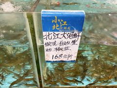 -小北江河鲜(新城店)