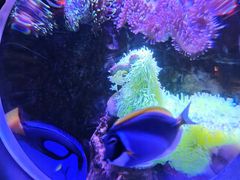 -太平洋海底世界