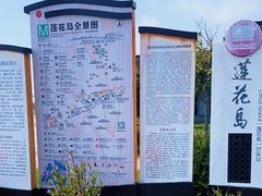 -莲花岛景区