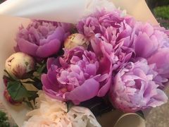 -双季花艺园艺市场(浦东店)