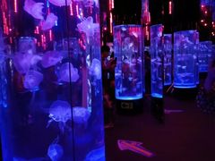 -成都浩海立方海洋公园