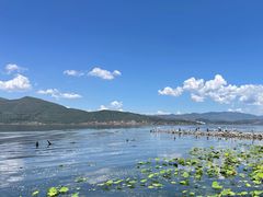 -大理洱海