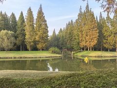 -黄海国家森林公园