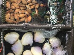 -蚝专家