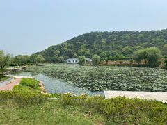 -龙寺生态园
