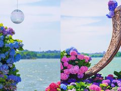 -无锡蠡湖国家湿地公园-蠡园