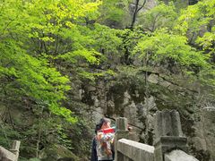 -龙峪湾国家森林公园
