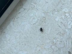 -全季酒店(北京西站南广场店)