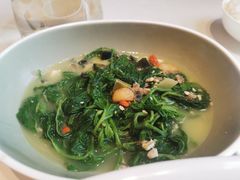 金银蛋浸桑叶芽-香港狮子山下·明星粤菜餐厅(北苑店)