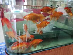 -文海饭店(朝阳路店)