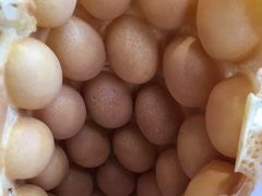 -利强记北角鸡蛋仔(弥敦道店 )