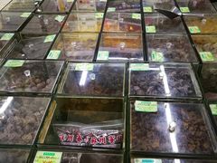 水产区-苏州蜜字牌蜜饯(东环店)