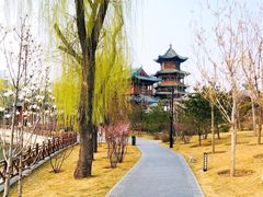 -迎泽公园