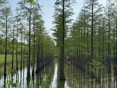 -泗洪洪泽湖湿地景区