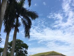 -侯臣咖啡文化村