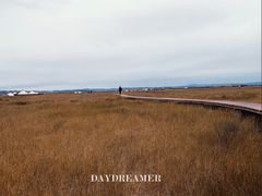 -敕勒川草原文化旅游区