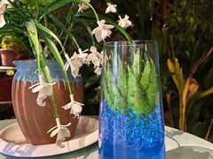 -兰桂坊·花园餐厅(西湖店)