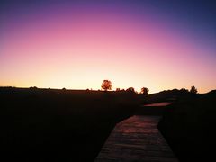 -塞罕坝国家级自然保护区