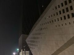 -南京国际青年文化中心