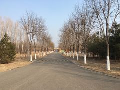-东郊湿地公园